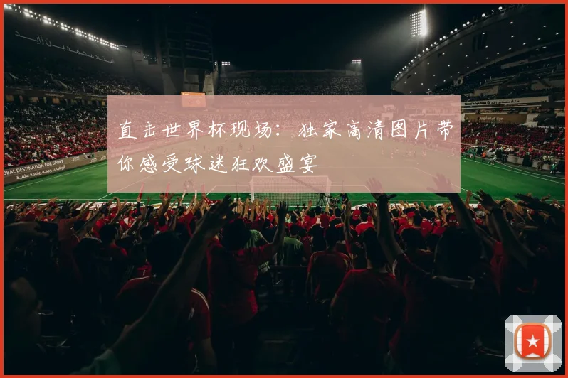 直击世界杯现场：独家高清图片带你感受球迷狂欢盛宴