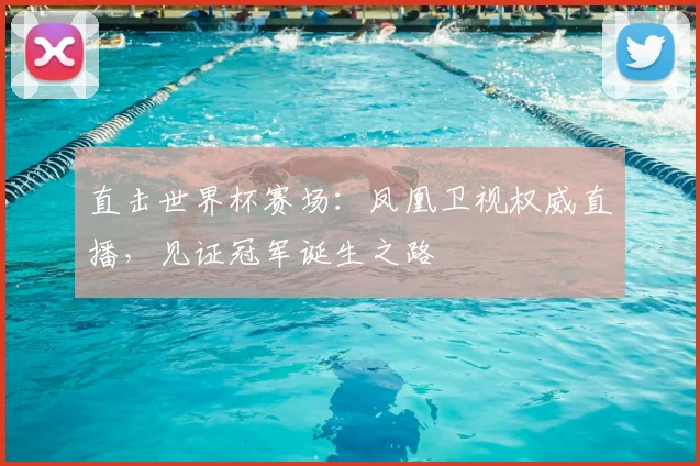 直击世界杯赛场：凤凰卫视权威直播，见证冠军诞生之路