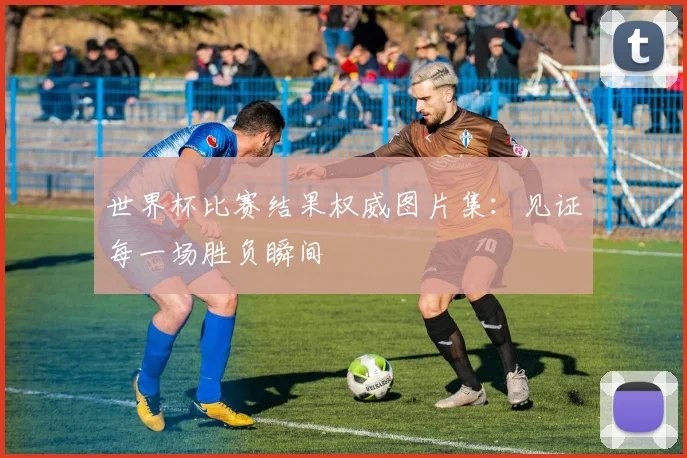 世界杯比赛结果权威图片集：见证每一场胜负瞬间