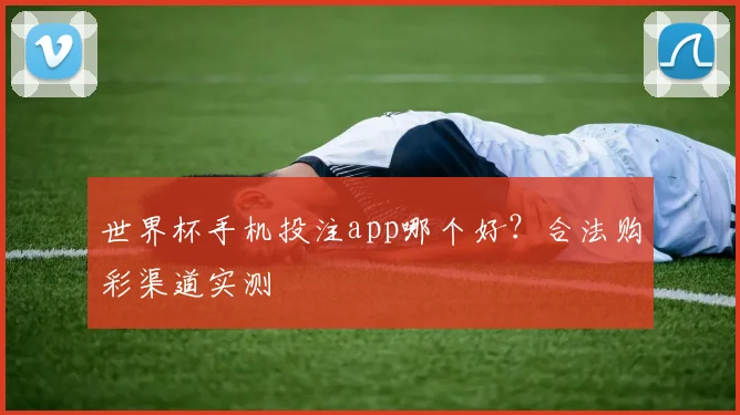 世界杯手机投注app哪个好？合法购彩渠道实测