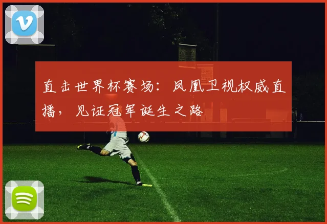 直击世界杯赛场：凤凰卫视权威直播，见证冠军诞生之路